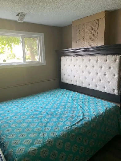 Clean Basement apartment for rent in Oshawa, Ontario Image# 1