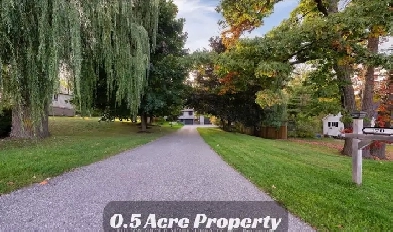 Entire house for rent Image# 8