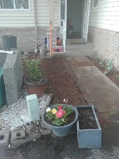 Daylight basement studio suite Image# 1