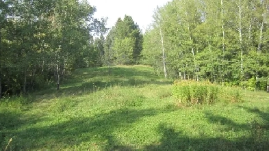 Acreage Lot -Walk in to Sherwood Park Image# 1
