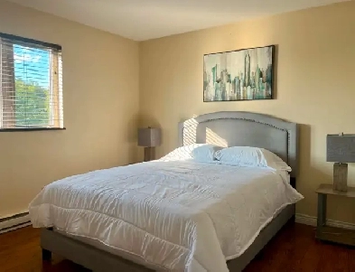 Furnished 2 Bed 1 Bath - Moncton/Dieppe NB Image# 1