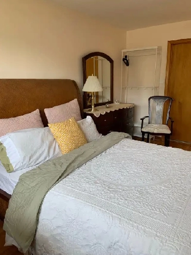 Room for rent and roommate Image# 1