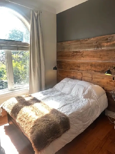 Cozy Furnished Bachelor King and Roncie Image# 1