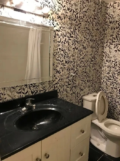 Seneca Room for rent