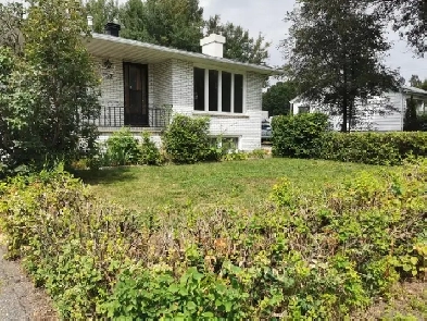 Beautiful, Spacious 2-Bedroom Executive Lower-Level Apartment Image# 1