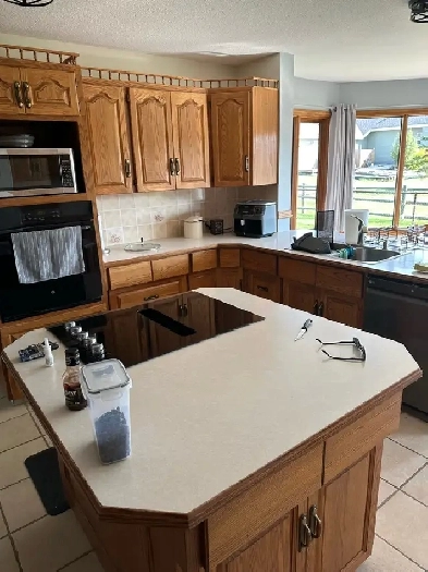 Roommate Aanted Image# 1