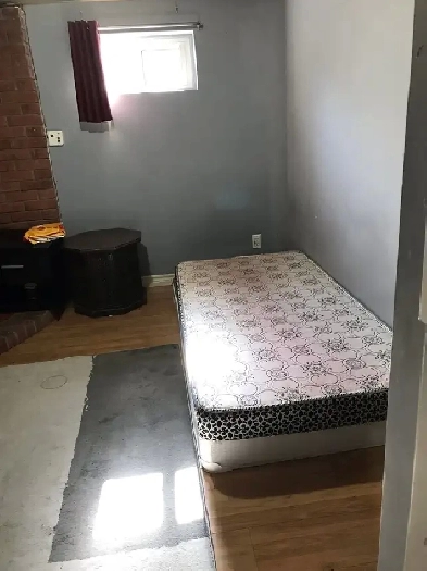 One Room Basement Rent - Hamilton Region Image# 1