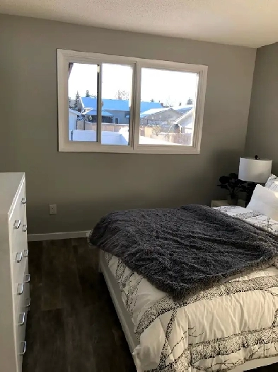 Room for Rent - Private Half Bath Image# 1