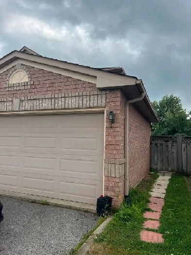 2 Bedrooms basement for rent Image# 1