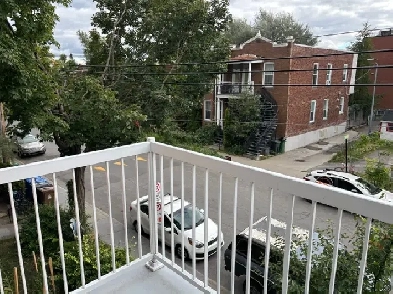 4 1/2 RÉNOVÉ – Rosemont-La Petite-Patrie – Près du Réseau Vert Image# 1