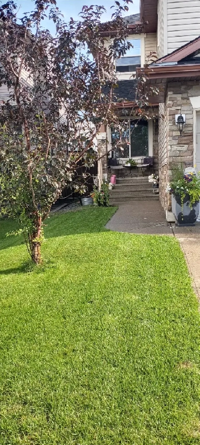 NO DD all Incld 1Bdrm Kincora NW shared home Sept 14 Image# 1