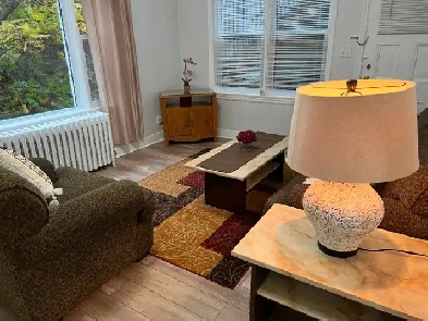 Attractive Fully Furnished One Bedroom Apt for Rent Image# 1