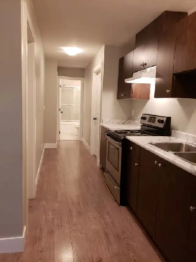 2 Bedroom - 1 Bath Basement for Rent Cloverdale Image# 4