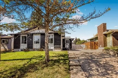 Basement for rent in Queensland Calgary Image# 1