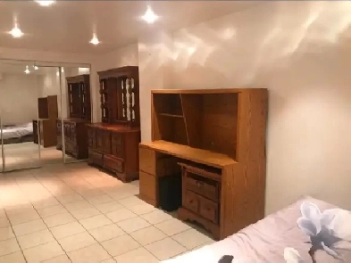 Weekly/monthly rate Furnished 2 Bedroom Basement steps to UTM Image# 1