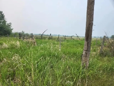 156 acres for sale Image# 4