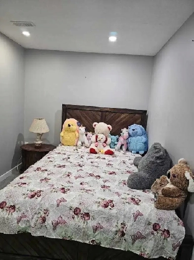 Basement for rent Image# 1