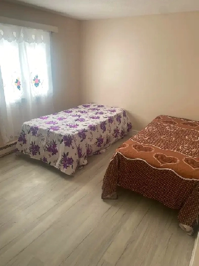 Room for Rent $1150/month including all utilities and internet Image# 1