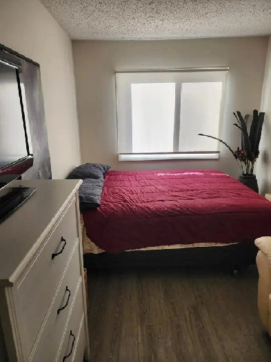 MALE TENANT TO SHARE TWO BEDROOM APT SOUTHWEST Image# 1