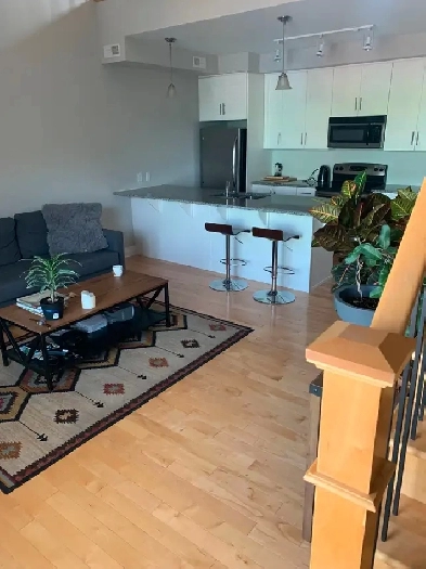 Loft apartment 1bed   loft   rooftop patio Image# 1