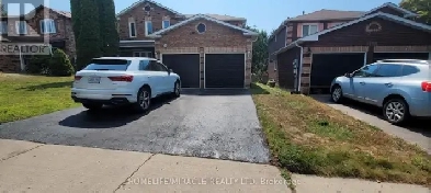 New basement for rent Image# 1