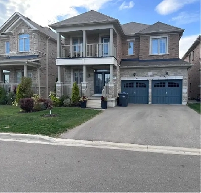 Newly Built 2-bedroom Basement Apartment Image# 1