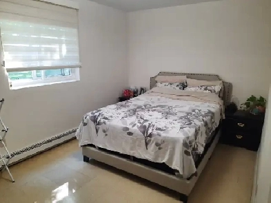 1 bedroom unit close to downtown Guelph Image# 2