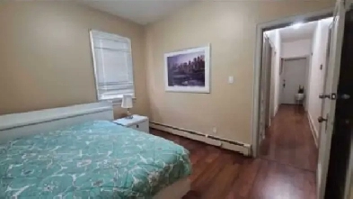 BEUTIFULL ROOM FOR RENT WALK DISTANCE FROM DOWNTOWN Image# 1