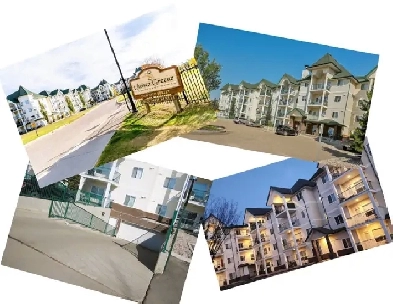 CLAREVIEW Quiet Top Floor 1-Bedroom Condo in adult-only building Image# 1