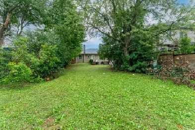 Rooms in a basement @Yonge & Finch (COHB & COSTI) Image# 1