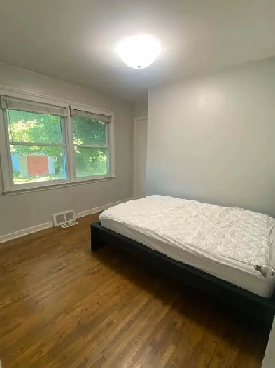 FEMALE Student house only 1 room left - close to St Clair Image# 3