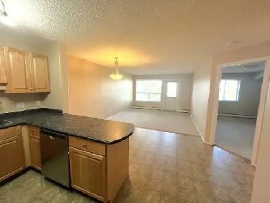CLAREVIEW Quiet Top Floor 1-Bedroom Condo in adult-only building Image# 1