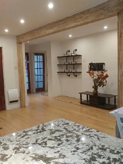 Appart meublé 5 1/2 3 chac /3 bdrs Berri-Uqam Image# 1