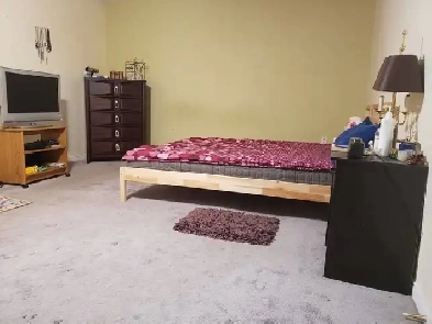 Furnished Master Bedroom Suite for Rent – All-Inclusive Image# 1