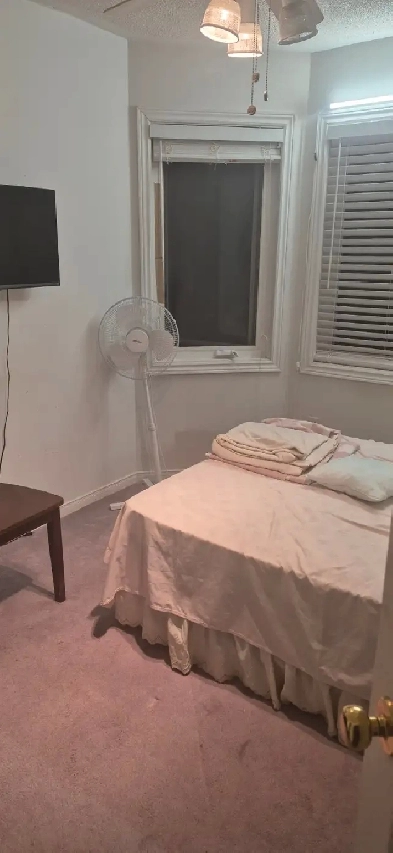 Room for rent to a female student Image# 3