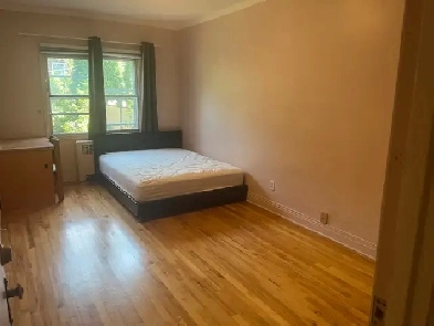 room for rent near CDN metro Image# 1