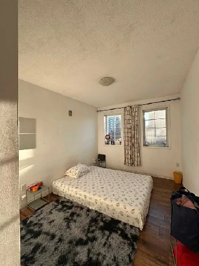 Room for Rent-Hurontario & Ray Lawson Blvd Image# 1