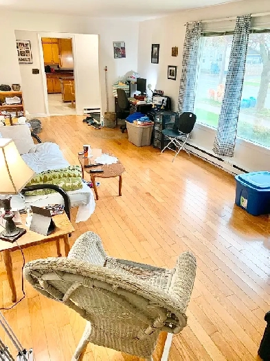 Room For Rent (Large Downtown 2 Bedroom Apartment) - Feb 1, 2026 Image# 5
