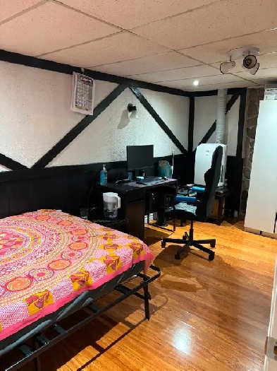 One Bedroom basement for rent Image# 1