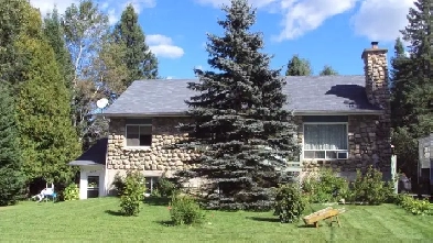 Chambre à louer /  Room for rent / Mont-tremblant Image# 1