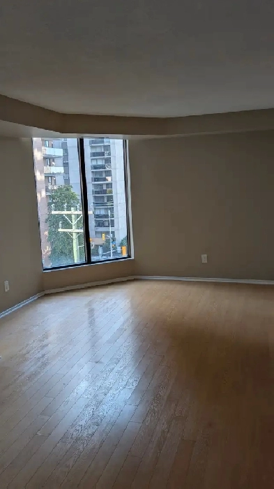 1 Bedroom Condo $1,550 Image# 1