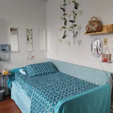 FULLY FURNISHED, MASTER ROOM FOR RENT, ALL INCLUSIVE Image# 1