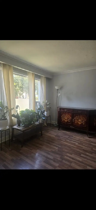 Location Location, live at Yonge and Finch Area. Image# 1