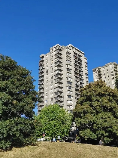 Large 1 BR Suite. Sunset Beach Image# 1