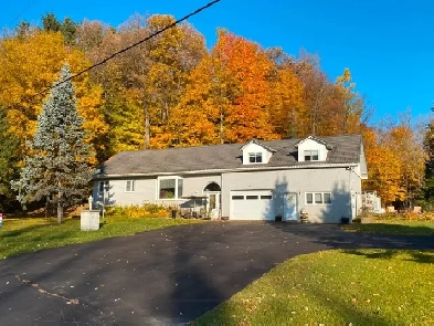 Bachelor Apartment, 2 parking spaces - FOR RENT Image# 1