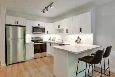 Modern 1-Bedroom Rentals Designed for Young Professionals Image# 1