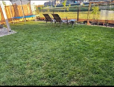 Walkout Basement for rent in Brampton Image# 1