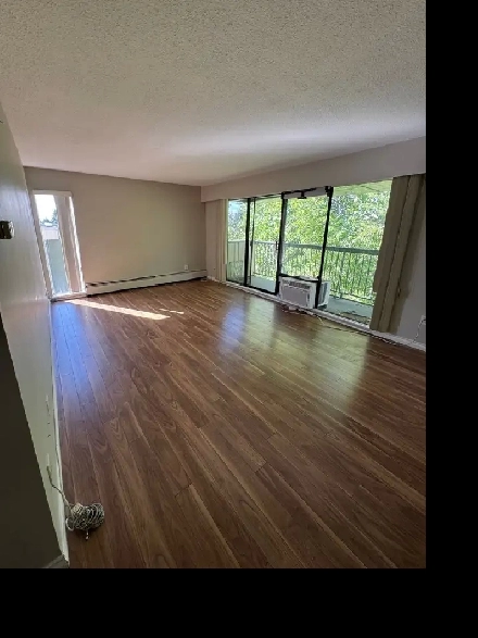 2 bedroom condo located near lougheed station Image# 1