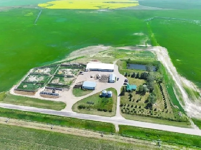 #25JA - 8± Acre Farm with House and Buildings near Turin, AB Image# 1