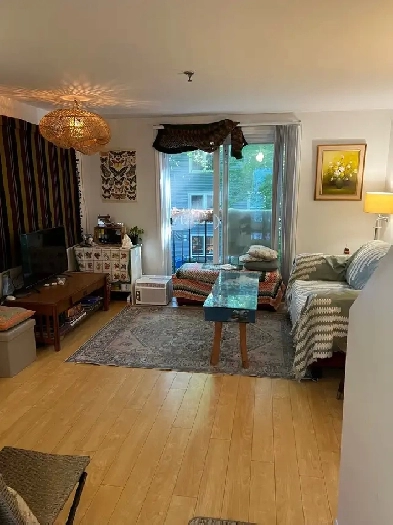 1 Bedroom Apartment Image# 1